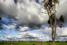 剑门黑豹队对阵岭南鲸鲨队，篮球小组赛爆冷，门将神扑救主——快速转换撕裂防线的简单介绍