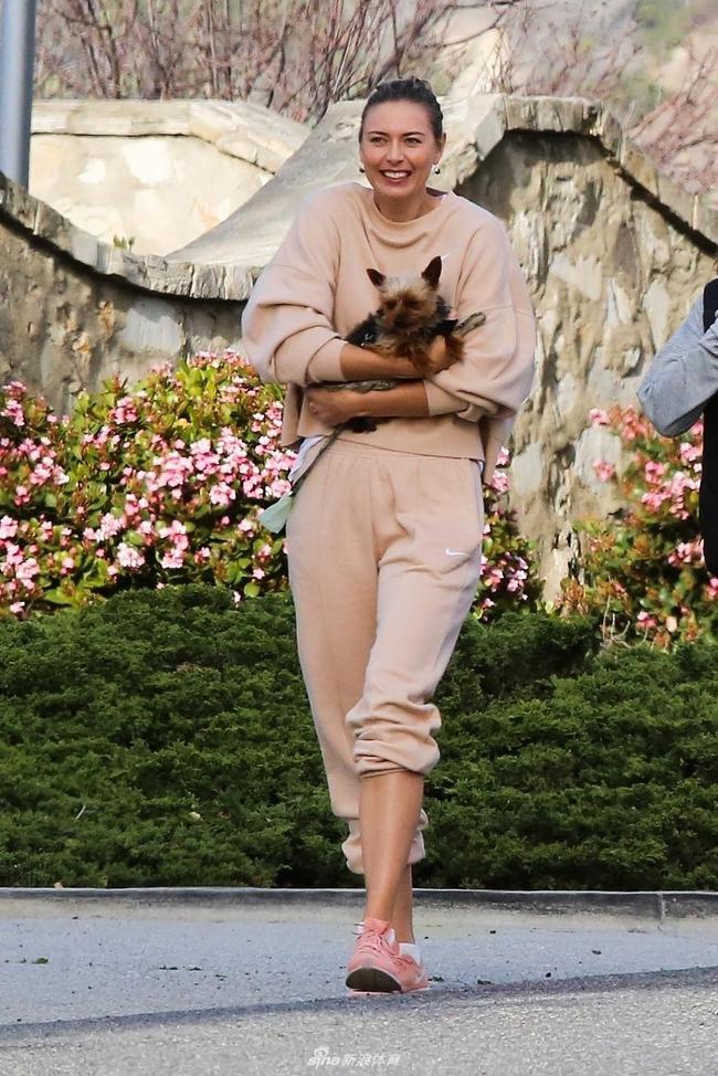 莎拉波娃赛事官方发布赛事规则更新新规，日本队争议不断！的简单介绍